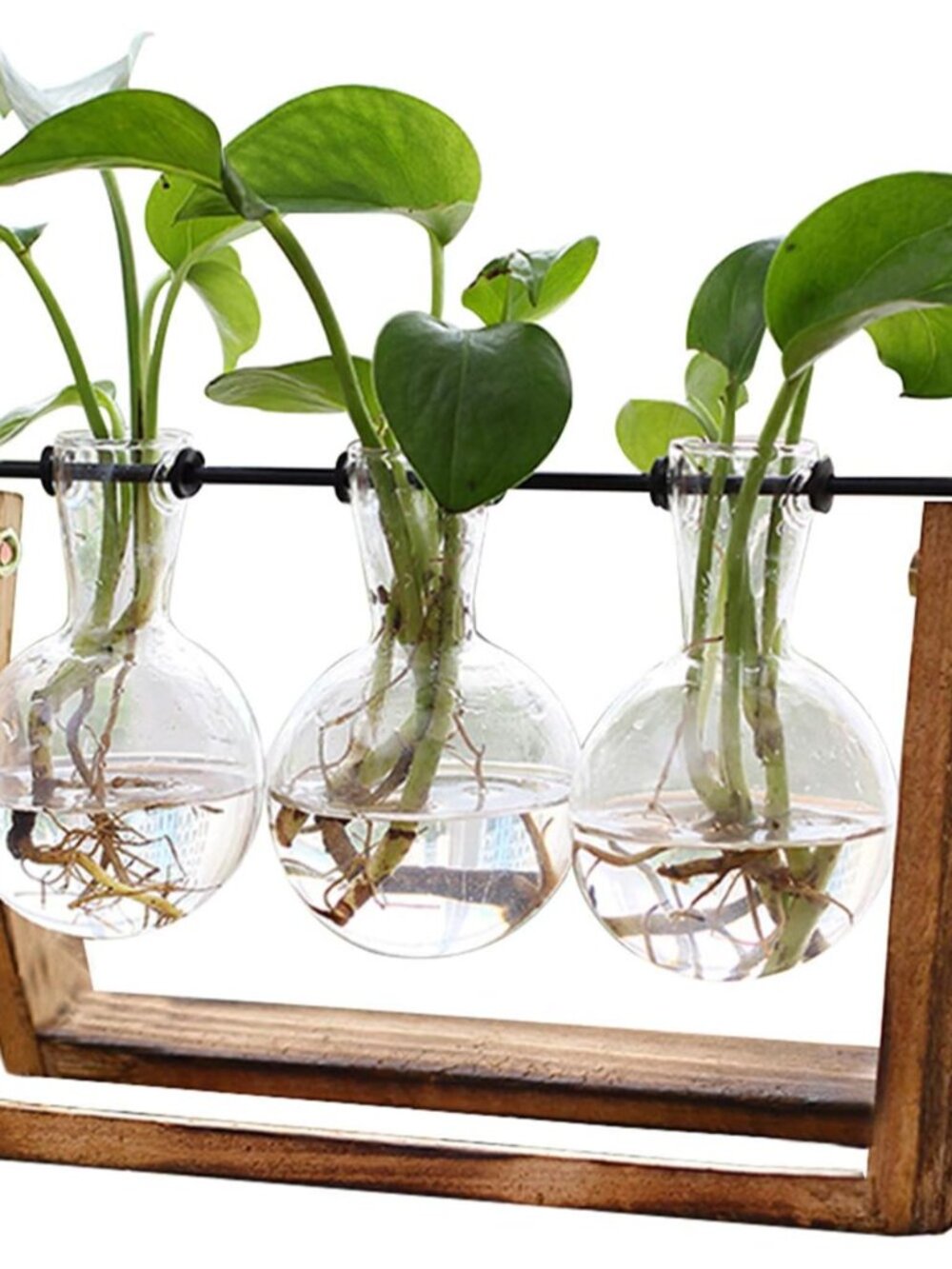 Plant Terrarium with Wooden Stand, Air Planter Bulb Glass Vase Metal Swivel Hold